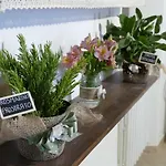 Umbria In Valigia&vecchia Cassetta *