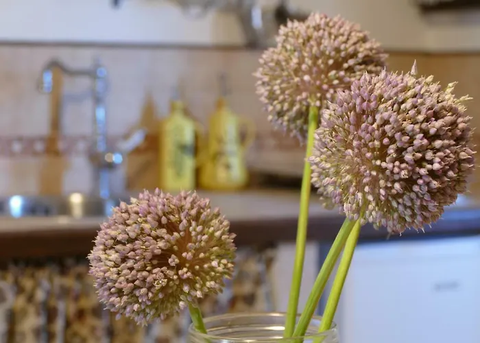 Casa de Férias Umbria In Valigia&vecchia Cassetta