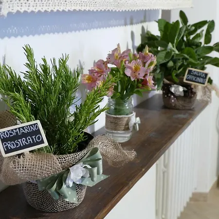 Umbria In Valigia&vecchia Cassetta *