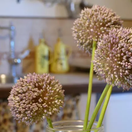 Vakantiehuis Umbria In Valigia&vecchia Cassetta